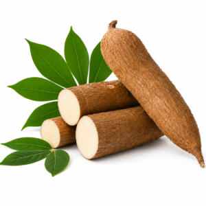 Farm Fresh Yuca Root – Quality You Can Trust